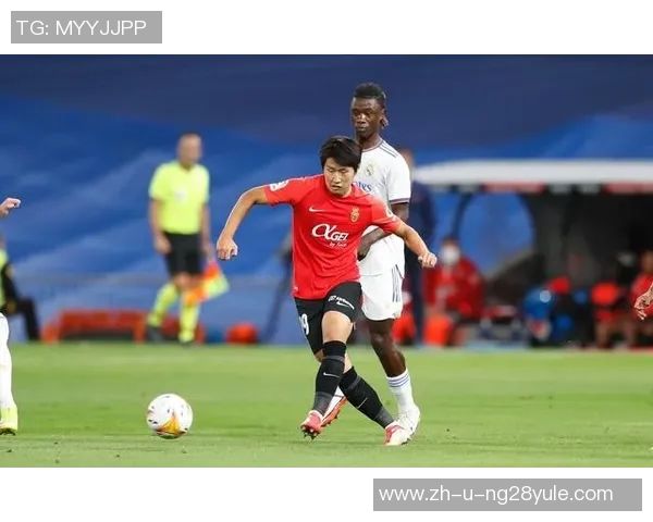 韩国足球联赛球星名单分析与赛季表现展望